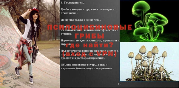 гашик Баксан